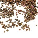 Kochia Seeds Manufacturer Supplier Wholesale Exporter Importer Buyer Trader Retailer