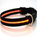 LED Dog Collar Manufacturer Supplier Wholesale Exporter Importer Buyer Trader Retailer