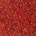 Gloriosa Superba Seed Manufacturer Supplier Wholesale Exporter Importer Buyer Trader Retailer