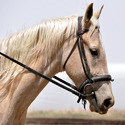 Horse Bit Manufacturer Supplier Wholesale Exporter Importer Buyer Trader Retailer