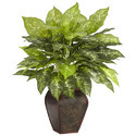 Decorative Plant Manufacturer Supplier Wholesale Exporter Importer Buyer Trader Retailer