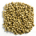 Coriander Seed Manufacturer Supplier Wholesale Exporter Importer Buyer Trader Retailer