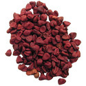 Annatto Seed Manufacturer Supplier Wholesale Exporter Importer Buyer Trader Retailer