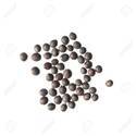 Sage Seeds Manufacturer Supplier Wholesale Exporter Importer Buyer Trader Retailer