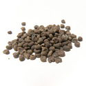 Ambrette Seeds Manufacturer Supplier Wholesale Exporter Importer Buyer Trader Retailer