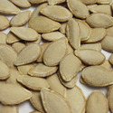 Zucchini Seeds Manufacturer Supplier Wholesale Exporter Importer Buyer Trader Retailer