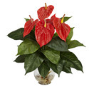 Anthurium Manufacturer Supplier Wholesale Exporter Importer Buyer Trader Retailer