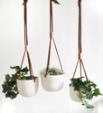Ceramic Hanging Planter Manufacturer Supplier Wholesale Exporter Importer Buyer Trader Retailer