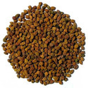 Gram Seed Manufacturer Supplier Wholesale Exporter Importer Buyer Trader Retailer
