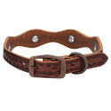 Leather Pet Collar Manufacturer Supplier Wholesale Exporter Importer Buyer Trader Retailer