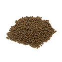 Vetch Seeds Manufacturer Supplier Wholesale Exporter Importer Buyer Trader Retailer