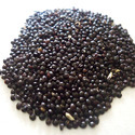 Hybrid Bhindi Seeds Manufacturer Supplier Wholesale Exporter Importer Buyer Trader Retailer