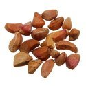 Rose Seeds Manufacturer Supplier Wholesale Exporter Importer Buyer Trader Retailer