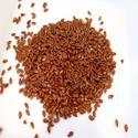 Roasted Flax Seeds Manufacturer Supplier Wholesale Exporter Importer Buyer Trader Retailer